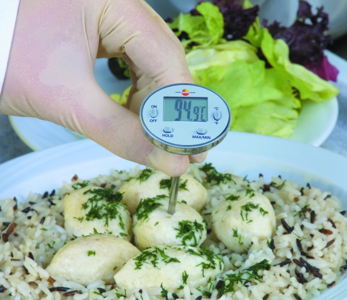 MINI-TERMOMETRO DE METAL RESISTENTE AL AGUA IP 67